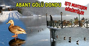 Abant Gölü’nde ördek keyfi!