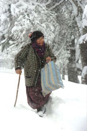 Abant'ta lapa lapa yağan kar 25 cm'e ulaştı