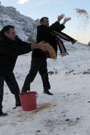 Aç kalan yabani hayvanlar için yem bırakıldı