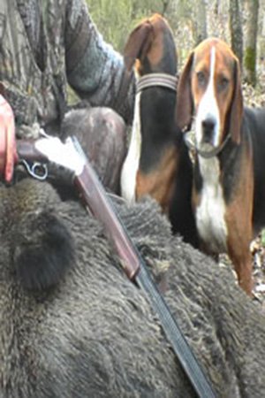 Ava giden avcılar resmen avlandılar