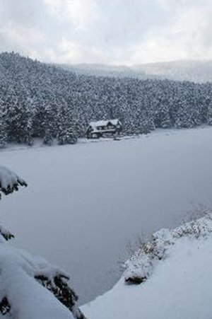 Bir Gölcük klasiği