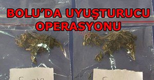 Bolu'da uyuşturucu operasyonu