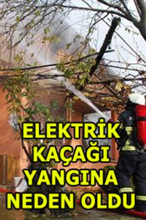 Paşaköyü'nde çıkan yangın korkuttu