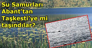 Samurlarımız kaçtı