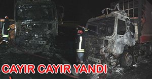 Tuğla Yüklü Tır Yandı