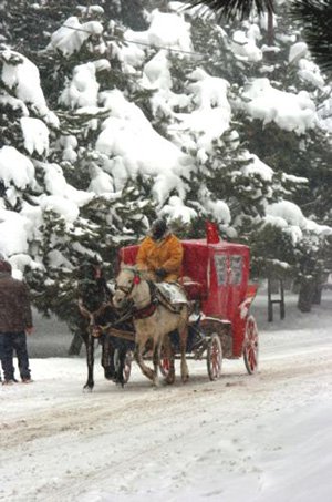 Abant'ta sömestir tatili eğlencesi ile doldu taştı