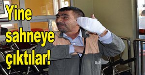 Acemi kasaplar iş başında!