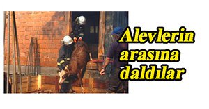 Alevler arasından çıkarttılar...