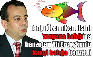 Ali Erçoşkun'a fok balığı göndermesi