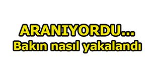 Aranan şahıs polisin kucağına düşüverdi...