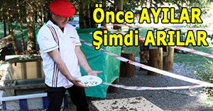 Arılar, alabalık tesisini istila etti