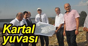 Beşiktaş Bolu'ya kafayı taktı