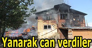 Bolu'da çıkan yangında hayvanlar telef oldu..