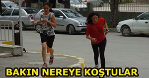 Bolu'da kene alarmı... Aman dikkat...