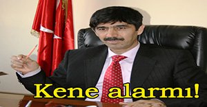 Bolu'da kene alarmı!