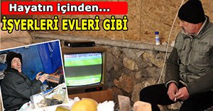 Bolu'dan yaşam manzaraları...