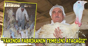 Bolu'ya enerji dönüşüm fabrikası kurulacak