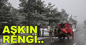 Cennetten bir köşe...