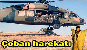 Çoban ortalığı ayağa kaldırdı...