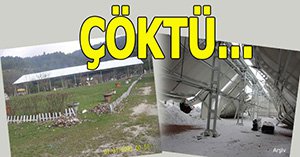 Düğün salonu çöktü...