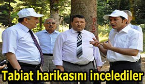 Gölcük'ü teftiş ettiler...