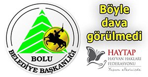 HAYTAP'A 'Nitelikli dolandırcılık' davası