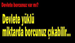 Herkes devlete olan borcunu öğrenebilecek...