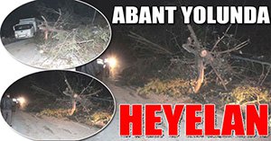 Heyelan Abant yolunu kapattı...