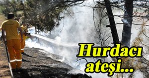 Hurdacılar ormanı yakıyordu....