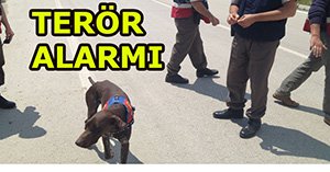 Jandarmadan köpekli terör araması