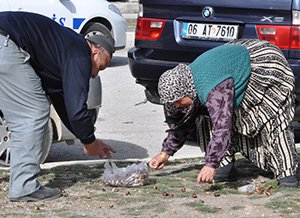 Kestane uyarısı yapıldı çöpler toplatıldı...
