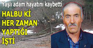 Kestiği ağacın altında kaldı, hayatını kaybetti