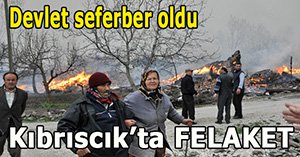 Kıbrıscık'ta yangın felaketi...