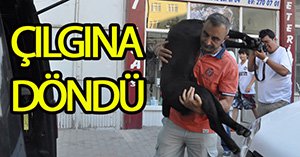 Köpeğinin öldüğünü görünce çılgına döndü...