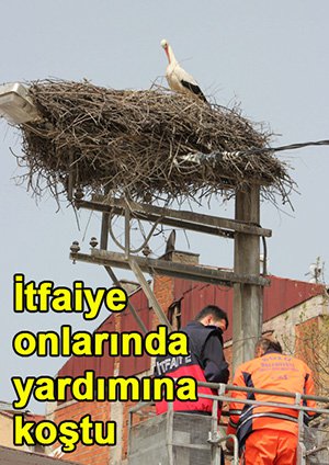 Kuvvetli fırtına aslında en çok onları etkiledi