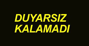 Minik yavru muradına erdi...