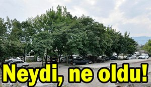 Neydi, ne oldu...