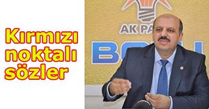 Olmadı sayın vekil..