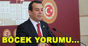 Özcan. böcekle ilgili olarak ne dedi?