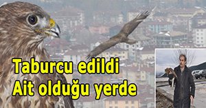 Özgürlüğüne kavuştu