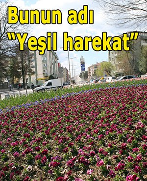 Park ve Bahçeler Birimi çalışmalarına hız kazandırdı