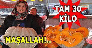 Pazarın gözdesi dev kabak