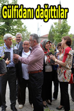 Vatandaşa bedava gülfidanı!