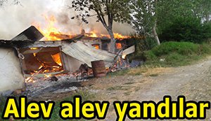 Yanarak telef oldular...