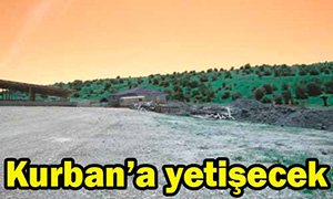 Yeni mezbahane Kurban Bayramı'na yetişecek..