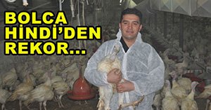 Yılbaşı hindileri hazır...