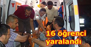 Yumrukaya'da can pazarı