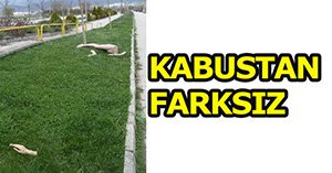 Yürüyüşe çıktıklarına pişman oldular...