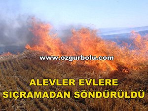 ALEVLER EVLERE SIÇRAMADAN SÖNDÜRÜLDÜ