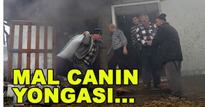 Alevler heryeri sardı